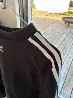 Adidas sweat