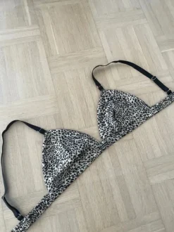 Bh leopard