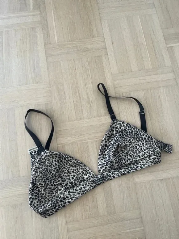 Bh leopard