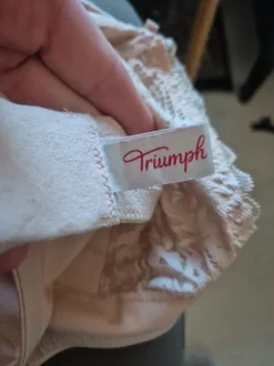 Bh triumph