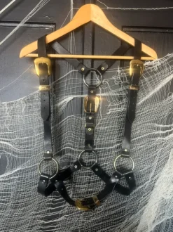 Black Leather harness gold buckles fetish