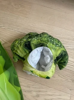 Broccoli costume