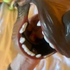 Chewbakka mask
