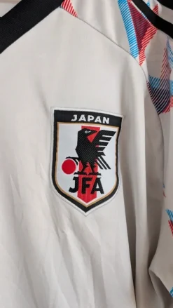 Japan Landslagströja/Zoro Special Edition