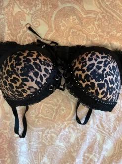leopard bh