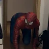 Profesjonalny kostium Spider Man