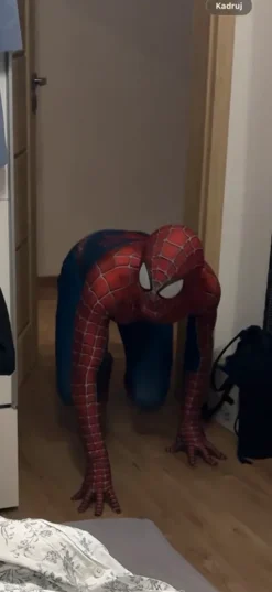 Profesjonalny kostium Spider Man