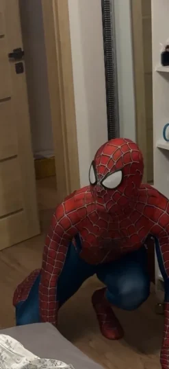 Profesjonalny kostium Spider Man