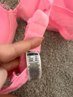 Rosa bh