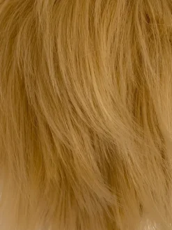 Short blonde wig