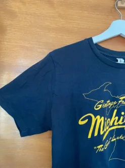 Sufjan Stevens T-shirt