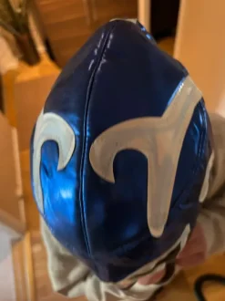 Wrestling mask