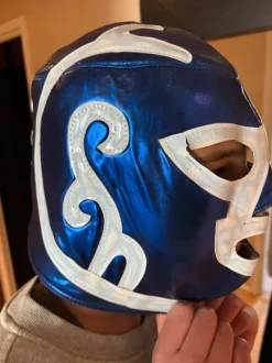 Wrestling mask