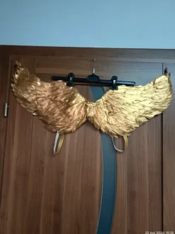Złote skrzydła z piórami.
